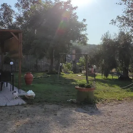 Poggio All'olivo Farm stay *