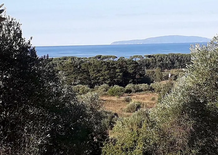 Poggio All'olivo * Follonica