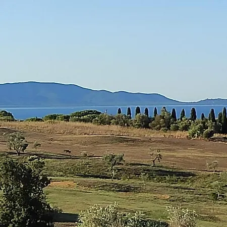 Poggio All'olivo *